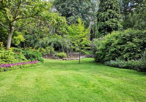 Optimiser l'expérience du jardin à Chevannay